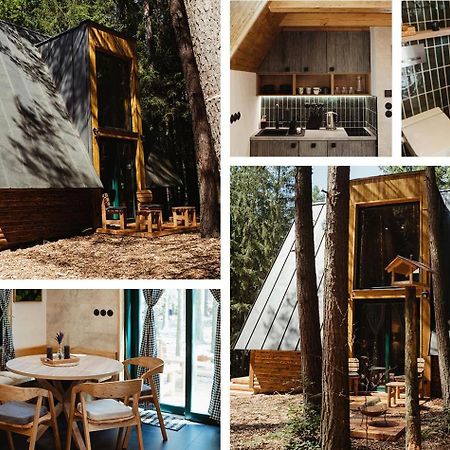 Hotel Kouty - Lesni Apartmany Ledeč nad Sázavou Extérieur photo